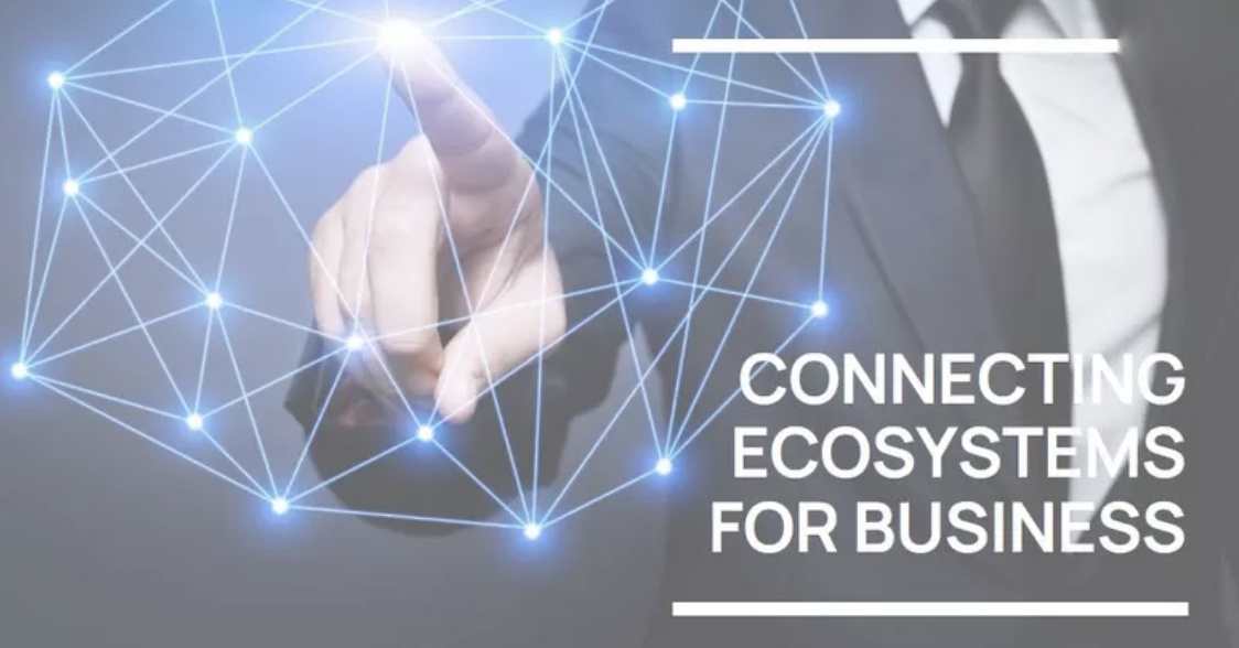 Integrated Business Ecosystem