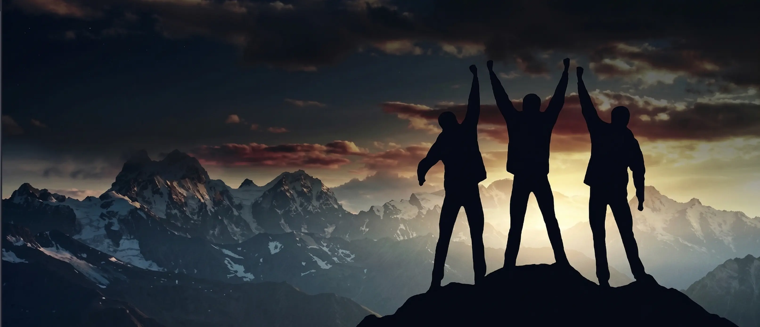 Brand Representation & Market Stewardship